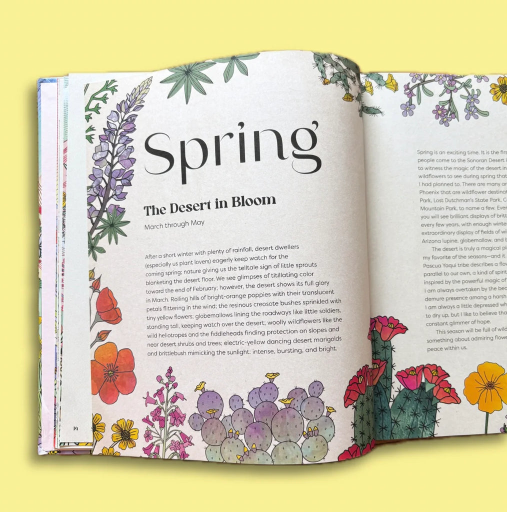 Seasons of the Desert Book