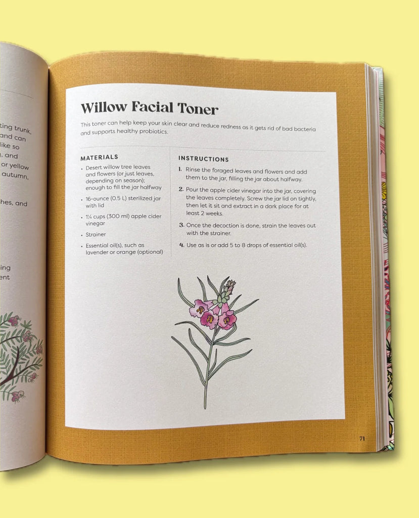 Seasons of the Desert Book