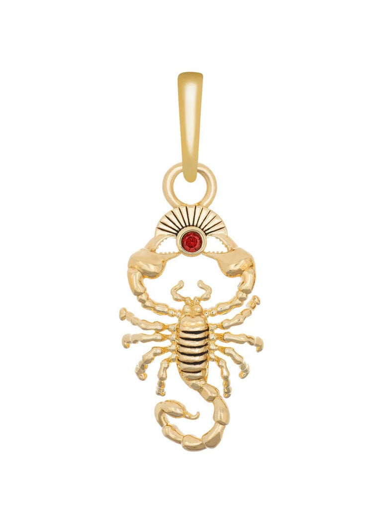 Scorpion Charm