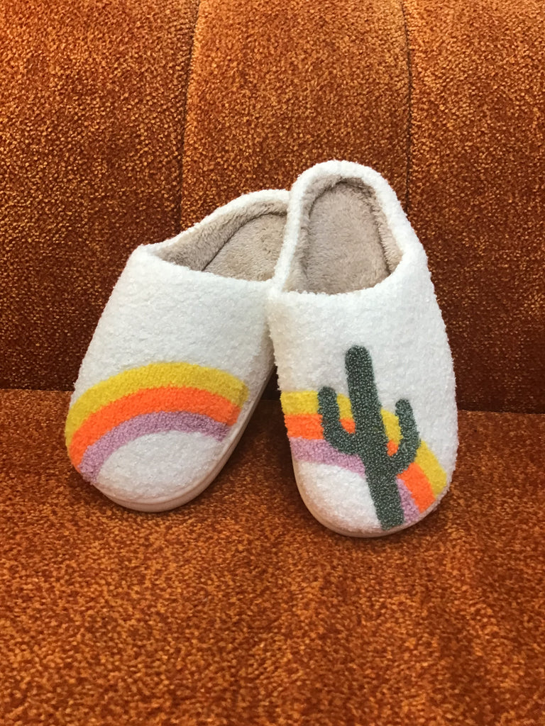 Cactus Rainbow Slippers