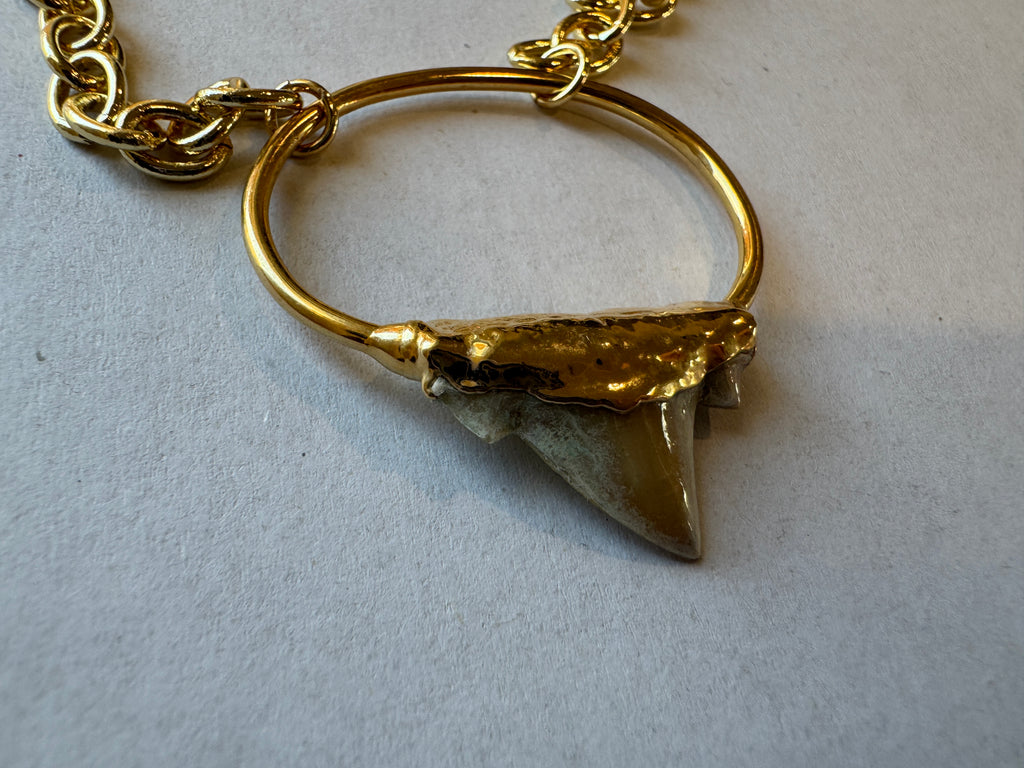 Shark Tooth Necklace