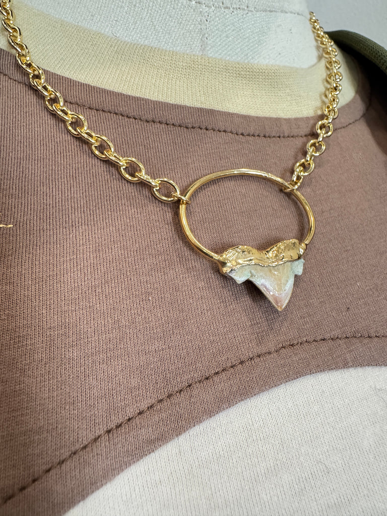 Shark Tooth Necklace