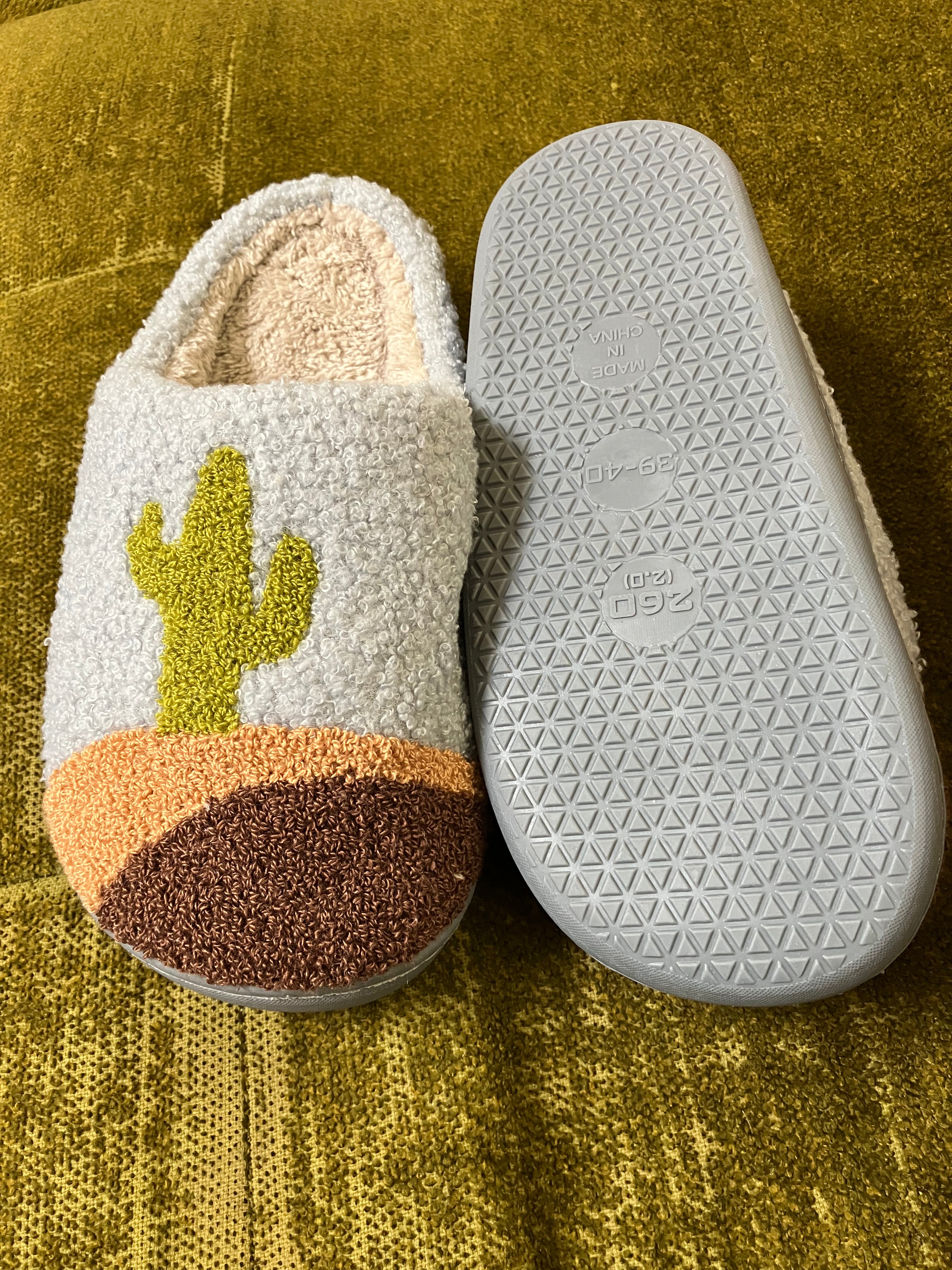 Cactus slippers 2025