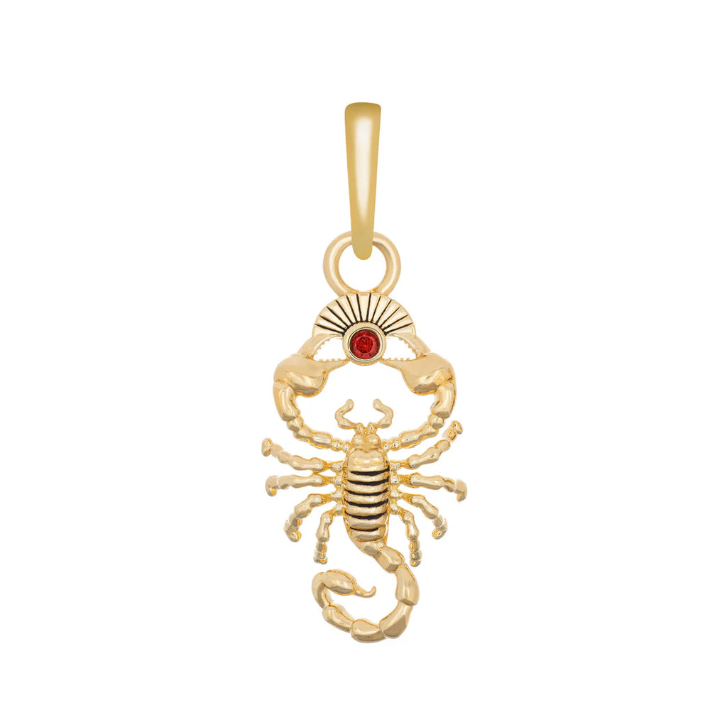 Scorpion Charm